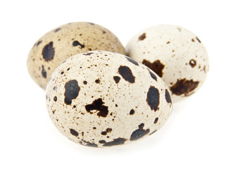 Obraz premium quail eggs
