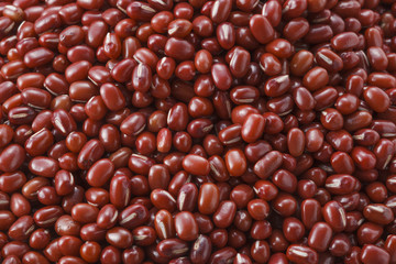 小豆　あずき　Red beans