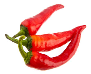 sharp cayenne