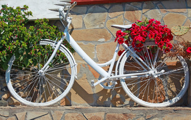 White vintage bicycle decorated with red flowers