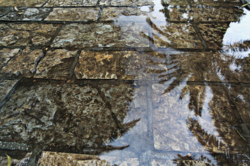 texture wet pavement stones background