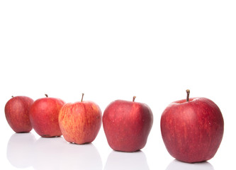 A group of red apples over white background