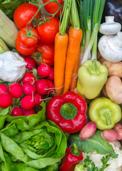 Fresh Vegetables