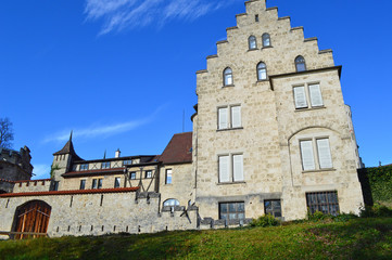 Fototapeta na wymiar Schloss Lichtenstein
