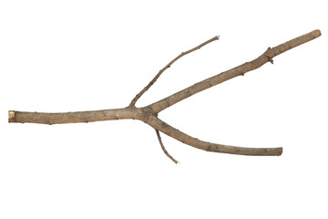 Branches Sticks