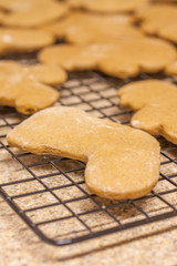 Unbaked Gingerbread Cookies