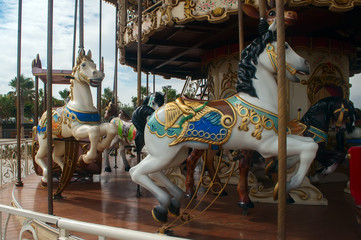 fun carousel