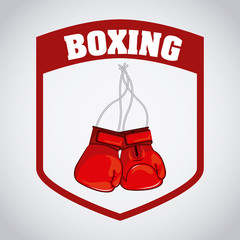 boxing design