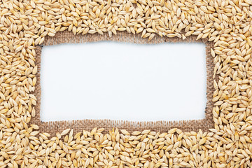 Frame made of burlap with barley