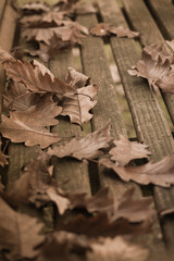 Herbstlicher Sitzplatz