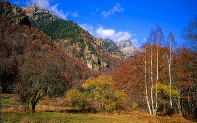 Fototapeta premium Autumn view