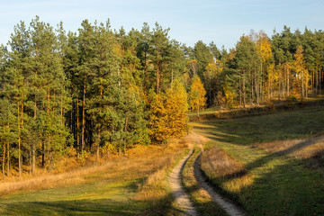 Fototapeta premium Jesień
