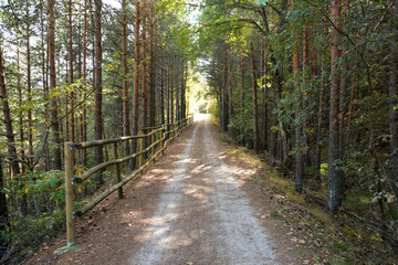 via verde en burgos, ferrocarril minero