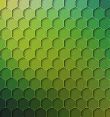 Rainforest Colored Abstract Background, Vector Illustration