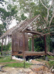 Building frame structure in forest.