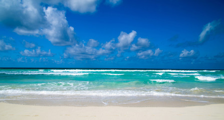 Fototapeta premium beach