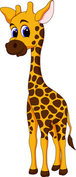 Cute giraffe cartoon