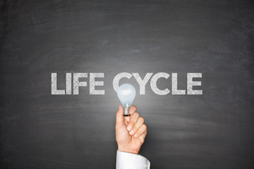 Life cycle on blackboard