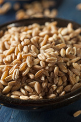 Organic Raw Farro Grain