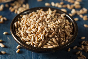 Organic Raw Farro Grain