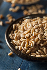 Organic Raw Farro Grain