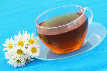 Cup of tea and white daisies on blue background with copy space