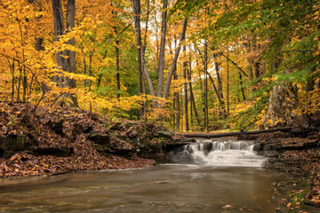 Waterfall In Autumn