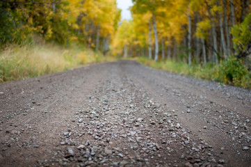 road autumn