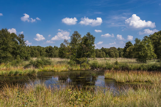 Naturschutzgebiet Ewiges Meer in Ostfriesland
