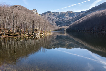 montagna e alberi riflessi nel lago