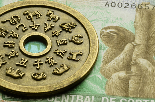 Perezosos Astrolog&iacute;a china Choloepus didactylus Costa Rica