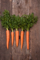 fresh carrot bunch on grungy wooden background