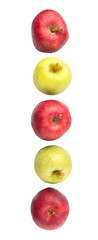 Red and green apple over white background