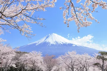 Foto op Aluminium 富士山と桜 © hallucion_7
