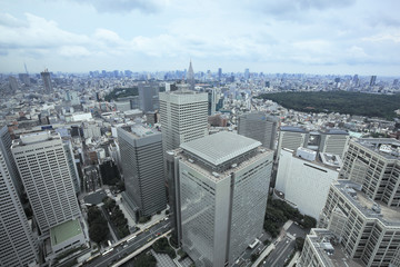 Fototapeta na wymiar 都庁からの眺め