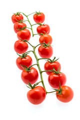 Tomato isolated on white