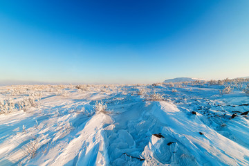 Tundra. Snow desert with shallow vegetation