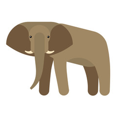 elephant vector illustration