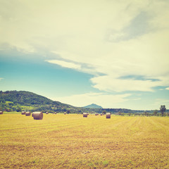 Hay Bales