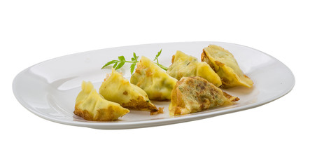 Japan dumplings - gyoza