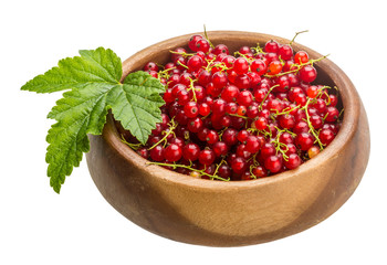 Red currant