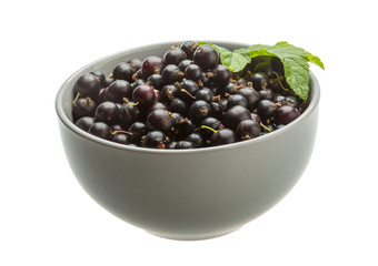Black currant