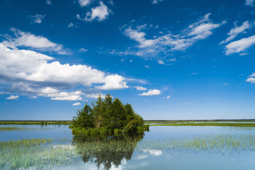 On a Clear Day Pristine Nature