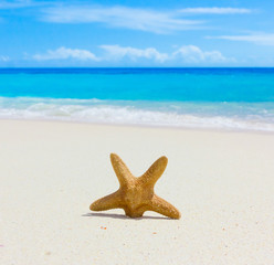 Sand Scene Stars