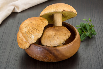 Boletus mushroom