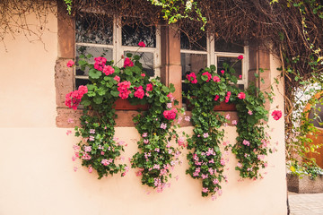 Fototapeta na wymiar Flowers on the window of old house on the streets of Colmar, Fra