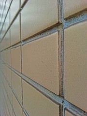 Wall brick vertical