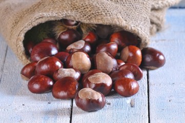 Chestnuts.
