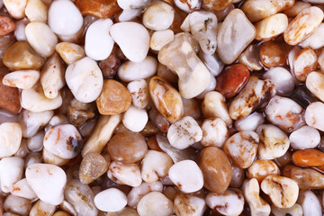 Sea stones as background