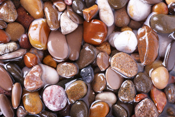 Sea stones as background